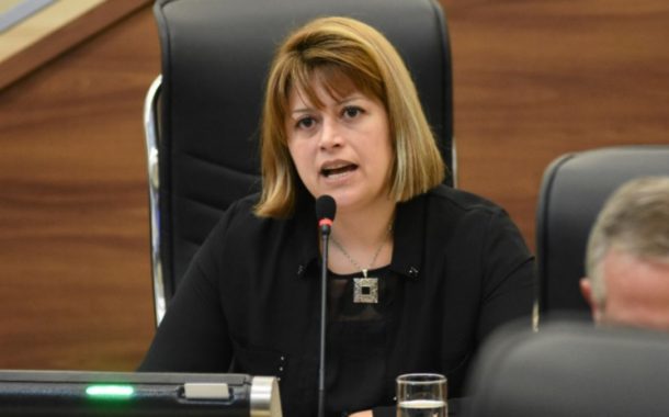 El Concejo aprobó el programa 