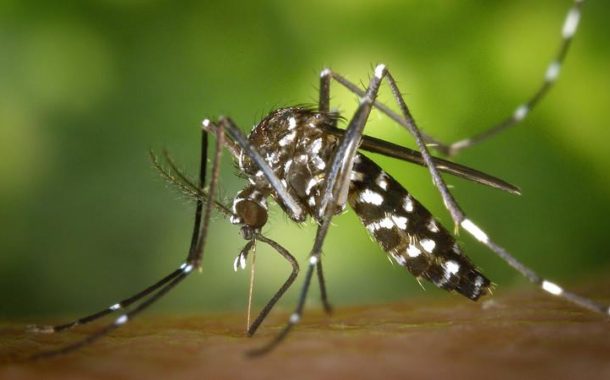 La UNR producirá 10 mil repelentes para combatir el dengue.