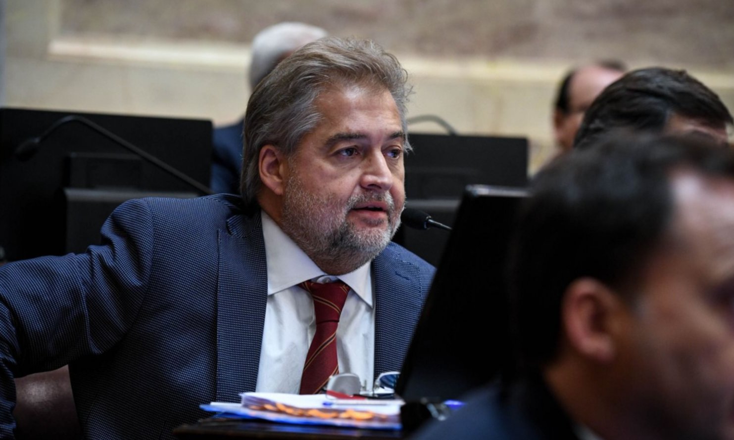 Para Mirabella en la oposición hay 